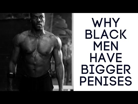 Why Do Black Men Have Big Penis
